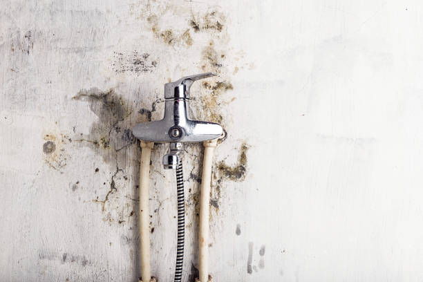 Best Certified Mold Removal  in Mcconnellstown, PA