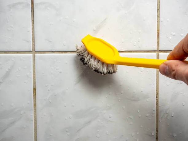 Best Office Mold Removal Services  in Mcconnellstown, PA